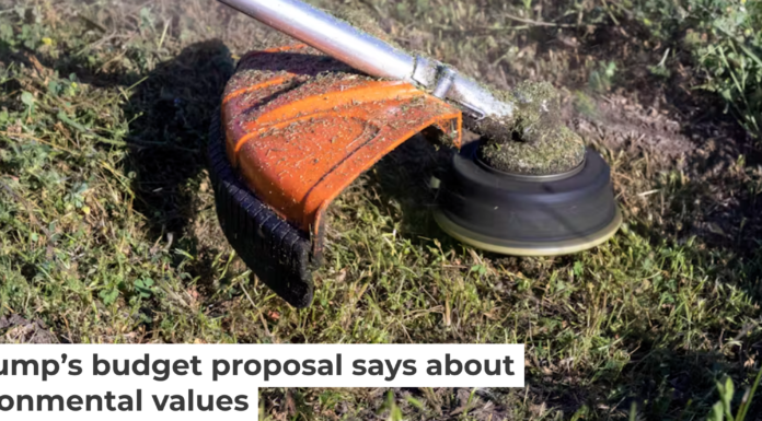 The president’s spending proposal doesn’t leave much behind. Alexey Kravchuk/iStock / Getty Images Plus